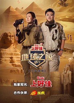 优化公司网站设计价格